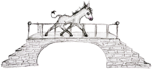 donkey_bridge